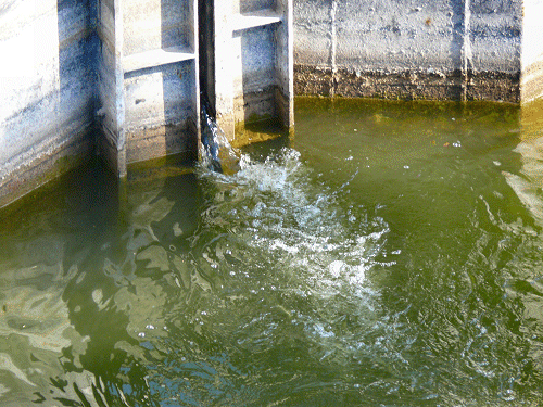 Op&nbsp;het&nbsp;hoge&nbsp;niveau&nbsp;wordt&nbsp;het&nbsp;water&nbsp;de&nbsp;sluis&nbsp;ingelaten