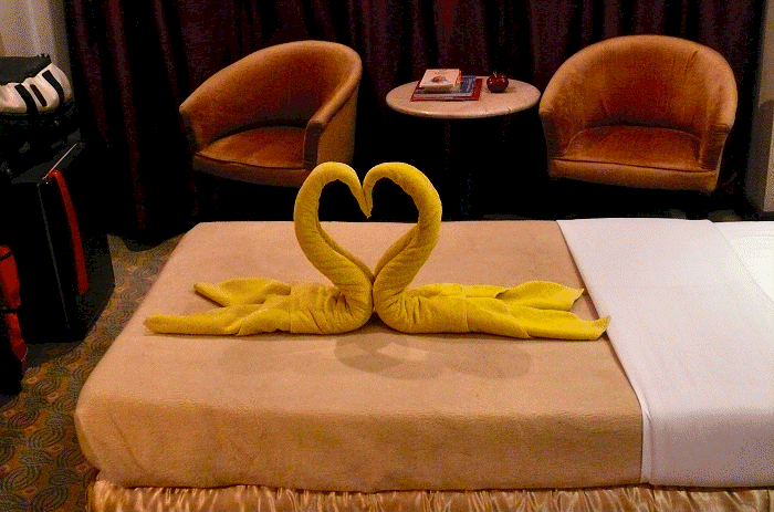 fotodag7gevouwenzwanen