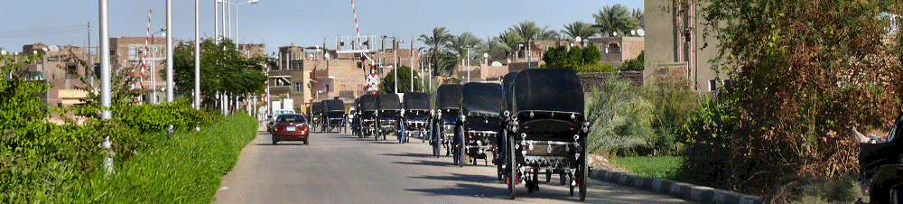 Koetstocht door Luxor. In het begin nog pal achter elkaar