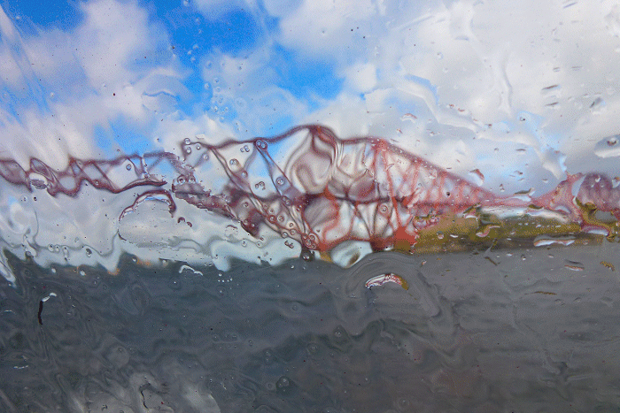 Forth&nbsp;Rail&nbsp;Bridge&nbsp;vanuit&nbsp;tenderboat