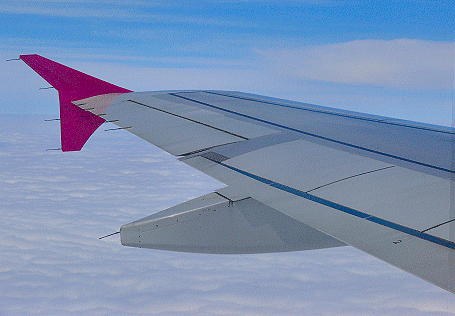 Vleugel Airbus 320 Wizz&nbsp;Air