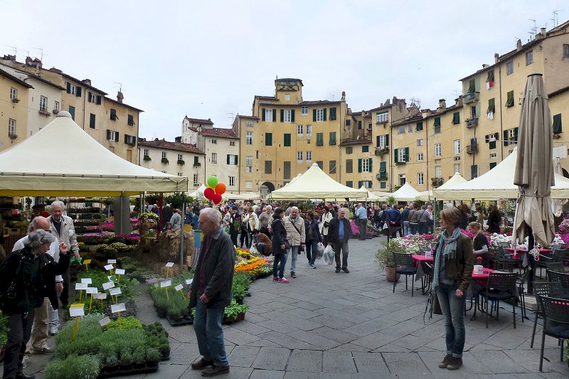Bloemen-&nbsp;en&nbsp;plantenmarkt in&nbsp;het&nbsp;amfitheater
