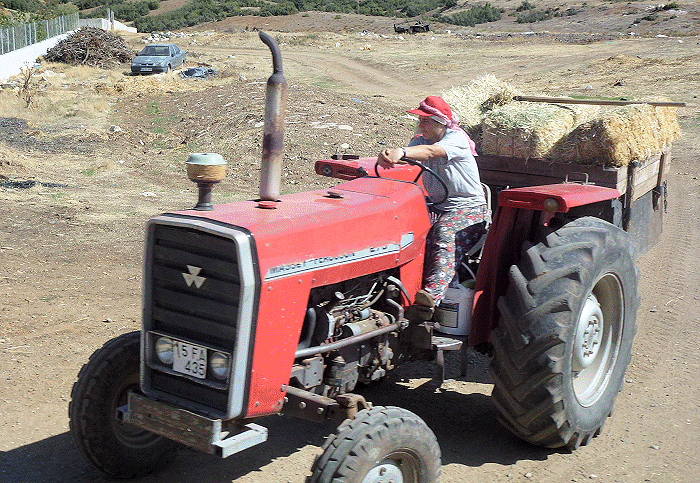 Vrouw op tractor