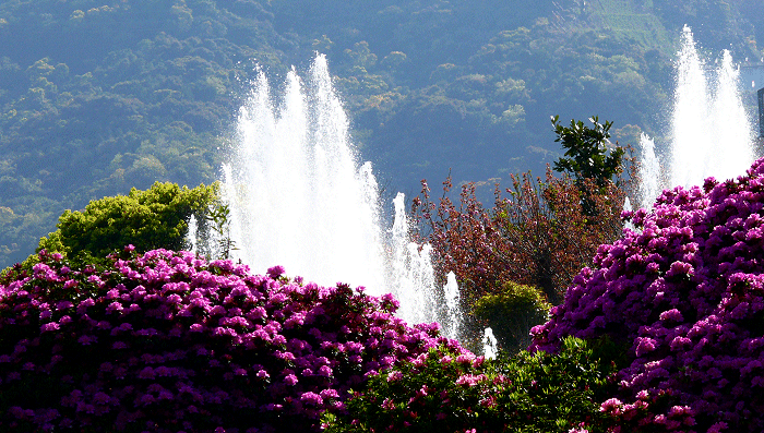 Peace Park